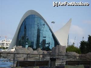 [P24] Oceanograful din Valencia » foto by yuly68*
 - 
<span class="allrVoted glyphicon glyphicon-heart hidden" id="av388885"></span>
<a class="m-l-10 hidden" id="sv388885" onclick="voting_Foto_DelVot(,388885,23164)" role="button">șterge vot <span class="glyphicon glyphicon-remove"></span></a>
<a id="v9388885" class=" c-red"  onclick="voting_Foto_SetVot(388885)" role="button"><span class="glyphicon glyphicon-heart-empty"></span> <b>LIKE</b> = Votează poza</a> <img class="hidden"  id="f388885W9" src="/imagini/loader.gif" border="0" /><span class="AjErrMes hidden" id="e388885ErM"></span>
