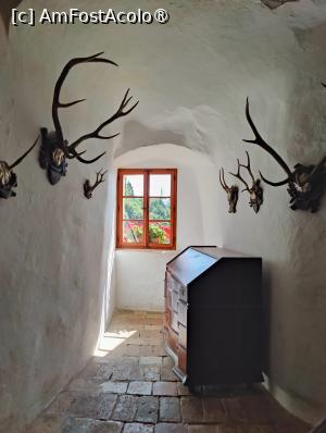 [P28] Castelul Predjama; trofee cinegetice » foto by crismis
 - 
<span class="allrVoted glyphicon glyphicon-heart hidden" id="av1529283"></span>
<a class="m-l-10 hidden" id="sv1529283" onclick="voting_Foto_DelVot(,1529283,23209)" role="button">șterge vot <span class="glyphicon glyphicon-remove"></span></a>
<a id="v91529283" class=" c-red"  onclick="voting_Foto_SetVot(1529283)" role="button"><span class="glyphicon glyphicon-heart-empty"></span> <b>LIKE</b> = Votează poza</a> <img class="hidden"  id="f1529283W9" src="/imagini/loader.gif" border="0" /><span class="AjErrMes hidden" id="e1529283ErM"></span>