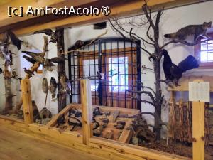 [P06] Muzeul cinegetico-folcloric » foto by crismis
 - 
<span class="allrVoted glyphicon glyphicon-heart hidden" id="av1529261"></span>
<a class="m-l-10 hidden" id="sv1529261" onclick="voting_Foto_DelVot(,1529261,23209)" role="button">șterge vot <span class="glyphicon glyphicon-remove"></span></a>
<a id="v91529261" class=" c-red"  onclick="voting_Foto_SetVot(1529261)" role="button"><span class="glyphicon glyphicon-heart-empty"></span> <b>LIKE</b> = Votează poza</a> <img class="hidden"  id="f1529261W9" src="/imagini/loader.gif" border="0" /><span class="AjErrMes hidden" id="e1529261ErM"></span>