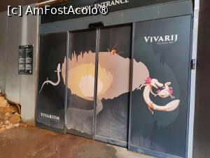 [P62] Peștera Postojna; Vivarium » foto by crismis
 - 
<span class="allrVoted glyphicon glyphicon-heart hidden" id="av1529317"></span>
<a class="m-l-10 hidden" id="sv1529317" onclick="voting_Foto_DelVot(,1529317,23209)" role="button">șterge vot <span class="glyphicon glyphicon-remove"></span></a>
<a id="v91529317" class=" c-red"  onclick="voting_Foto_SetVot(1529317)" role="button"><span class="glyphicon glyphicon-heart-empty"></span> <b>LIKE</b> = Votează poza</a> <img class="hidden"  id="f1529317W9" src="/imagini/loader.gif" border="0" /><span class="AjErrMes hidden" id="e1529317ErM"></span>
