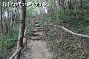 [P10] Ținutul Buzăului, Poteca spre Trovanții Babele de la Ulmet » foto by mprofeanu
 - 
<span class="allrVoted glyphicon glyphicon-heart hidden" id="av1406813"></span>
<a class="m-l-10 hidden" id="sv1406813" onclick="voting_Foto_DelVot(,1406813,23238)" role="button">șterge vot <span class="glyphicon glyphicon-remove"></span></a>
<a id="v91406813" class=" c-red"  onclick="voting_Foto_SetVot(1406813)" role="button"><span class="glyphicon glyphicon-heart-empty"></span> <b>LIKE</b> = Votează poza</a> <img class="hidden"  id="f1406813W9" src="/imagini/loader.gif" border="0" /><span class="AjErrMes hidden" id="e1406813ErM"></span>