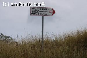 [P28] Ținutul Buzăului, Indicator spre Trovanții Babele de la Ulmet din Pădure... » foto by mprofeanu
 - 
<span class="allrVoted glyphicon glyphicon-heart hidden" id="av1406831"></span>
<a class="m-l-10 hidden" id="sv1406831" onclick="voting_Foto_DelVot(,1406831,23238)" role="button">șterge vot <span class="glyphicon glyphicon-remove"></span></a>
<a id="v91406831" class=" c-red"  onclick="voting_Foto_SetVot(1406831)" role="button"><span class="glyphicon glyphicon-heart-empty"></span> <b>LIKE</b> = Votează poza</a> <img class="hidden"  id="f1406831W9" src="/imagini/loader.gif" border="0" /><span class="AjErrMes hidden" id="e1406831ErM"></span>