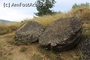 [P29] Ținutul Buzăului, Urcăm spre pădure... » foto by mprofeanu
 - 
<span class="allrVoted glyphicon glyphicon-heart hidden" id="av1406832"></span>
<a class="m-l-10 hidden" id="sv1406832" onclick="voting_Foto_DelVot(,1406832,23238)" role="button">șterge vot <span class="glyphicon glyphicon-remove"></span></a>
<a id="v91406832" class=" c-red"  onclick="voting_Foto_SetVot(1406832)" role="button"><span class="glyphicon glyphicon-heart-empty"></span> <b>LIKE</b> = Votează poza</a> <img class="hidden"  id="f1406832W9" src="/imagini/loader.gif" border="0" /><span class="AjErrMes hidden" id="e1406832ErM"></span>