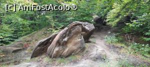 [P32] Ținutul Buzăului, Printre Trovanții Babele de la Ulmet din Pădure » foto by mprofeanu
 - 
<span class="allrVoted glyphicon glyphicon-heart hidden" id="av1406835"></span>
<a class="m-l-10 hidden" id="sv1406835" onclick="voting_Foto_DelVot(,1406835,23238)" role="button">șterge vot <span class="glyphicon glyphicon-remove"></span></a>
<a id="v91406835" class=" c-red"  onclick="voting_Foto_SetVot(1406835)" role="button"><span class="glyphicon glyphicon-heart-empty"></span> <b>LIKE</b> = Votează poza</a> <img class="hidden"  id="f1406835W9" src="/imagini/loader.gif" border="0" /><span class="AjErrMes hidden" id="e1406835ErM"></span>