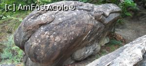 [P33] Ținutul Buzăului, Printre Trovanții Babele de la Ulmet din Pădure, Balena... » foto by mprofeanu
 - 
<span class="allrVoted glyphicon glyphicon-heart hidden" id="av1406836"></span>
<a class="m-l-10 hidden" id="sv1406836" onclick="voting_Foto_DelVot(,1406836,23238)" role="button">șterge vot <span class="glyphicon glyphicon-remove"></span></a>
<a id="v91406836" class=" c-red"  onclick="voting_Foto_SetVot(1406836)" role="button"><span class="glyphicon glyphicon-heart-empty"></span> <b>LIKE</b> = Votează poza</a> <img class="hidden"  id="f1406836W9" src="/imagini/loader.gif" border="0" /><span class="AjErrMes hidden" id="e1406836ErM"></span>