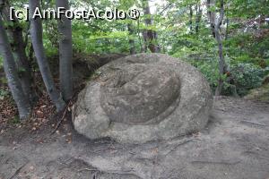 [P35] Ținutul Buzăului, Printre Trovanții Babele de la Ulmet din Pădure » foto by mprofeanu
 - 
<span class="allrVoted glyphicon glyphicon-heart hidden" id="av1406838"></span>
<a class="m-l-10 hidden" id="sv1406838" onclick="voting_Foto_DelVot(,1406838,23238)" role="button">șterge vot <span class="glyphicon glyphicon-remove"></span></a>
<a id="v91406838" class=" c-red"  onclick="voting_Foto_SetVot(1406838)" role="button"><span class="glyphicon glyphicon-heart-empty"></span> <b>LIKE</b> = Votează poza</a> <img class="hidden"  id="f1406838W9" src="/imagini/loader.gif" border="0" /><span class="AjErrMes hidden" id="e1406838ErM"></span>