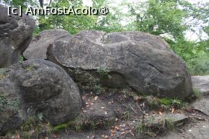 [P36] Ținutul Buzăului, Printre Trovanții Babele de la Ulmet din Pădure » foto by mprofeanu
 - 
<span class="allrVoted glyphicon glyphicon-heart hidden" id="av1406839"></span>
<a class="m-l-10 hidden" id="sv1406839" onclick="voting_Foto_DelVot(,1406839,23238)" role="button">șterge vot <span class="glyphicon glyphicon-remove"></span></a>
<a id="v91406839" class=" c-red"  onclick="voting_Foto_SetVot(1406839)" role="button"><span class="glyphicon glyphicon-heart-empty"></span> <b>LIKE</b> = Votează poza</a> <img class="hidden"  id="f1406839W9" src="/imagini/loader.gif" border="0" /><span class="AjErrMes hidden" id="e1406839ErM"></span>