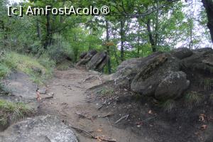 [P38] Ținutul Buzăului, Printre Trovanții Babele de la Ulmet din Pădure » foto by mprofeanu
 - 
<span class="allrVoted glyphicon glyphicon-heart hidden" id="av1406841"></span>
<a class="m-l-10 hidden" id="sv1406841" onclick="voting_Foto_DelVot(,1406841,23238)" role="button">șterge vot <span class="glyphicon glyphicon-remove"></span></a>
<a id="v91406841" class=" c-red"  onclick="voting_Foto_SetVot(1406841)" role="button"><span class="glyphicon glyphicon-heart-empty"></span> <b>LIKE</b> = Votează poza</a> <img class="hidden"  id="f1406841W9" src="/imagini/loader.gif" border="0" /><span class="AjErrMes hidden" id="e1406841ErM"></span>