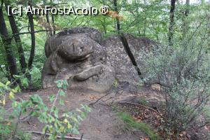 [P39] Ținutul Buzăului, Printre Trovanții Babele de la Ulmet din Pădure, Broscuța » foto by mprofeanu
 - 
<span class="allrVoted glyphicon glyphicon-heart hidden" id="av1406842"></span>
<a class="m-l-10 hidden" id="sv1406842" onclick="voting_Foto_DelVot(,1406842,23238)" role="button">șterge vot <span class="glyphicon glyphicon-remove"></span></a>
<a id="v91406842" class=" c-red"  onclick="voting_Foto_SetVot(1406842)" role="button"><span class="glyphicon glyphicon-heart-empty"></span> <b>LIKE</b> = Votează poza</a> <img class="hidden"  id="f1406842W9" src="/imagini/loader.gif" border="0" /><span class="AjErrMes hidden" id="e1406842ErM"></span>