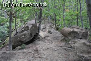 [P40] Ținutul Buzăului,Trovanții Babele de la Ulmet din Pădure, Coloana » foto by mprofeanu
 - 
<span class="allrVoted glyphicon glyphicon-heart hidden" id="av1406843"></span>
<a class="m-l-10 hidden" id="sv1406843" onclick="voting_Foto_DelVot(,1406843,23238)" role="button">șterge vot <span class="glyphicon glyphicon-remove"></span></a>
<a id="v91406843" class=" c-red"  onclick="voting_Foto_SetVot(1406843)" role="button"><span class="glyphicon glyphicon-heart-empty"></span> <b>LIKE</b> = Votează poza</a> <img class="hidden"  id="f1406843W9" src="/imagini/loader.gif" border="0" /><span class="AjErrMes hidden" id="e1406843ErM"></span>