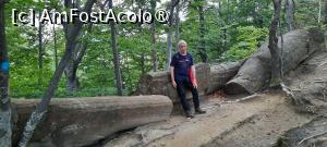 [P41] Ținutul Buzăului, Trovanții Babele de la Ulmet din Pădure, Coloana pozată din alt unghi... » foto by mprofeanu
 - 
<span class="allrVoted glyphicon glyphicon-heart hidden" id="av1406844"></span>
<a class="m-l-10 hidden" id="sv1406844" onclick="voting_Foto_DelVot(,1406844,23238)" role="button">șterge vot <span class="glyphicon glyphicon-remove"></span></a>
<a id="v91406844" class=" c-red"  onclick="voting_Foto_SetVot(1406844)" role="button"><span class="glyphicon glyphicon-heart-empty"></span> <b>LIKE</b> = Votează poza</a> <img class="hidden"  id="f1406844W9" src="/imagini/loader.gif" border="0" /><span class="AjErrMes hidden" id="e1406844ErM"></span>