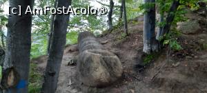 [P42] Ținutul Buzăului, Trovanții Babele de la Ulmet din Pădure, Ghioaga » foto by mprofeanu
 - 
<span class="allrVoted glyphicon glyphicon-heart hidden" id="av1406845"></span>
<a class="m-l-10 hidden" id="sv1406845" onclick="voting_Foto_DelVot(,1406845,23238)" role="button">șterge vot <span class="glyphicon glyphicon-remove"></span></a>
<a id="v91406845" class=" c-red"  onclick="voting_Foto_SetVot(1406845)" role="button"><span class="glyphicon glyphicon-heart-empty"></span> <b>LIKE</b> = Votează poza</a> <img class="hidden"  id="f1406845W9" src="/imagini/loader.gif" border="0" /><span class="AjErrMes hidden" id="e1406845ErM"></span>