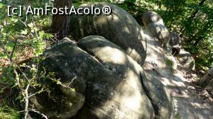 [P16] Un alt tip de farfurii zburătoare, ceva mai sferice, situate în zona mediană a zonei de apariție a trovanților.  » foto by Lucien
 - 
<span class="allrVoted glyphicon glyphicon-heart hidden" id="av1125826"></span>
<a class="m-l-10 hidden" id="sv1125826" onclick="voting_Foto_DelVot(,1125826,23238)" role="button">șterge vot <span class="glyphicon glyphicon-remove"></span></a>
<a id="v91125826" class=" c-red"  onclick="voting_Foto_SetVot(1125826)" role="button"><span class="glyphicon glyphicon-heart-empty"></span> <b>LIKE</b> = Votează poza</a> <img class="hidden"  id="f1125826W9" src="/imagini/loader.gif" border="0" /><span class="AjErrMes hidden" id="e1125826ErM"></span>
