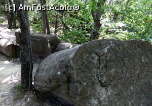 [P20] OZN-uri tip rachetă secționate transversal (de către oameni). Structura omogenă indică lipsa compartimentării rachetelor, deci și lipsa echipajelor.  » foto by Lucien
 - 
<span class="allrVoted glyphicon glyphicon-heart hidden" id="av1125830"></span>
<a class="m-l-10 hidden" id="sv1125830" onclick="voting_Foto_DelVot(,1125830,23238)" role="button">șterge vot <span class="glyphicon glyphicon-remove"></span></a>
<a id="v91125830" class=" c-red"  onclick="voting_Foto_SetVot(1125830)" role="button"><span class="glyphicon glyphicon-heart-empty"></span> <b>LIKE</b> = Votează poza</a> <img class="hidden"  id="f1125830W9" src="/imagini/loader.gif" border="0" /><span class="AjErrMes hidden" id="e1125830ErM"></span>