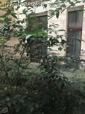 [P21] Puțină verdeață prin curtea blocului » foto by krisstinna
 - 
<span class="allrVoted glyphicon glyphicon-heart hidden" id="av932890"></span>
<a class="m-l-10 hidden" id="sv932890" onclick="voting_Foto_DelVot(,932890,23247)" role="button">șterge vot <span class="glyphicon glyphicon-remove"></span></a>
<a id="v9932890" class=" c-red"  onclick="voting_Foto_SetVot(932890)" role="button"><span class="glyphicon glyphicon-heart-empty"></span> <b>LIKE</b> = Votează poza</a> <img class="hidden"  id="f932890W9" src="/imagini/loader.gif" border="0" /><span class="AjErrMes hidden" id="e932890ErM"></span>