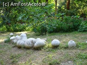 [P21] Turbanele de piatră care au stat pe mormintele unor oameni sus-puși - Moscheea Esmahan, Mangalia.  » foto by tata123 🔱
 - 
<span class="allrVoted glyphicon glyphicon-heart hidden" id="av1019014"></span>
<a class="m-l-10 hidden" id="sv1019014" onclick="voting_Foto_DelVot(,1019014,23280)" role="button">șterge vot <span class="glyphicon glyphicon-remove"></span></a>
<a id="v91019014" class=" c-red"  onclick="voting_Foto_SetVot(1019014)" role="button"><span class="glyphicon glyphicon-heart-empty"></span> <b>LIKE</b> = Votează poza</a> <img class="hidden"  id="f1019014W9" src="/imagini/loader.gif" border="0" /><span class="AjErrMes hidden" id="e1019014ErM"></span>