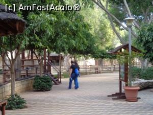 [P02] zoo limassol » foto by bogdan 75
 - 
<span class="allrVoted glyphicon glyphicon-heart hidden" id="av941311"></span>
<a class="m-l-10 hidden" id="sv941311" onclick="voting_Foto_DelVot(,941311,23378)" role="button">șterge vot <span class="glyphicon glyphicon-remove"></span></a>
<a id="v9941311" class=" c-red"  onclick="voting_Foto_SetVot(941311)" role="button"><span class="glyphicon glyphicon-heart-empty"></span> <b>LIKE</b> = Votează poza</a> <img class="hidden"  id="f941311W9" src="/imagini/loader.gif" border="0" /><span class="AjErrMes hidden" id="e941311ErM"></span>