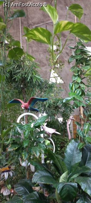 [P14] Dubai Butterfly Garden » foto by elenaadina
 - 
<span class="allrVoted glyphicon glyphicon-heart hidden" id="av1427690"></span>
<a class="m-l-10 hidden" id="sv1427690" onclick="voting_Foto_DelVot(,1427690,23380)" role="button">șterge vot <span class="glyphicon glyphicon-remove"></span></a>
<a id="v91427690" class=" c-red"  onclick="voting_Foto_SetVot(1427690)" role="button"><span class="glyphicon glyphicon-heart-empty"></span> <b>LIKE</b> = Votează poza</a> <img class="hidden"  id="f1427690W9" src="/imagini/loader.gif" border="0" /><span class="AjErrMes hidden" id="e1427690ErM"></span>