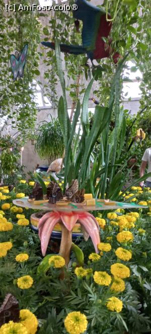 [P15] Dubai Butterfly Garden » foto by elenaadina
 - 
<span class="allrVoted glyphicon glyphicon-heart hidden" id="av1427691"></span>
<a class="m-l-10 hidden" id="sv1427691" onclick="voting_Foto_DelVot(,1427691,23380)" role="button">șterge vot <span class="glyphicon glyphicon-remove"></span></a>
<a id="v91427691" class=" c-red"  onclick="voting_Foto_SetVot(1427691)" role="button"><span class="glyphicon glyphicon-heart-empty"></span> <b>LIKE</b> = Votează poza</a> <img class="hidden"  id="f1427691W9" src="/imagini/loader.gif" border="0" /><span class="AjErrMes hidden" id="e1427691ErM"></span>