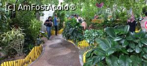 [P16] Dubai Butterfly Garden » foto by elenaadina
 - 
<span class="allrVoted glyphicon glyphicon-heart hidden" id="av1427692"></span>
<a class="m-l-10 hidden" id="sv1427692" onclick="voting_Foto_DelVot(,1427692,23380)" role="button">șterge vot <span class="glyphicon glyphicon-remove"></span></a>
<a id="v91427692" class=" c-red"  onclick="voting_Foto_SetVot(1427692)" role="button"><span class="glyphicon glyphicon-heart-empty"></span> <b>LIKE</b> = Votează poza</a> <img class="hidden"  id="f1427692W9" src="/imagini/loader.gif" border="0" /><span class="AjErrMes hidden" id="e1427692ErM"></span>