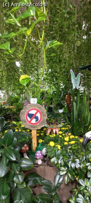 [P17] Dubai Butterfly Garden » foto by elenaadina
 - 
<span class="allrVoted glyphicon glyphicon-heart hidden" id="av1427693"></span>
<a class="m-l-10 hidden" id="sv1427693" onclick="voting_Foto_DelVot(,1427693,23380)" role="button">șterge vot <span class="glyphicon glyphicon-remove"></span></a>
<a id="v91427693" class=" c-red"  onclick="voting_Foto_SetVot(1427693)" role="button"><span class="glyphicon glyphicon-heart-empty"></span> <b>LIKE</b> = Votează poza</a> <img class="hidden"  id="f1427693W9" src="/imagini/loader.gif" border="0" /><span class="AjErrMes hidden" id="e1427693ErM"></span>