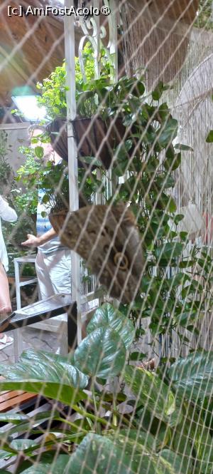 [P18] Dubai Butterfly Garden » foto by elenaadina
 - 
<span class="allrVoted glyphicon glyphicon-heart hidden" id="av1427694"></span>
<a class="m-l-10 hidden" id="sv1427694" onclick="voting_Foto_DelVot(,1427694,23380)" role="button">șterge vot <span class="glyphicon glyphicon-remove"></span></a>
<a id="v91427694" class=" c-red"  onclick="voting_Foto_SetVot(1427694)" role="button"><span class="glyphicon glyphicon-heart-empty"></span> <b>LIKE</b> = Votează poza</a> <img class="hidden"  id="f1427694W9" src="/imagini/loader.gif" border="0" /><span class="AjErrMes hidden" id="e1427694ErM"></span>