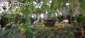 [P20] Dubai Butterfly Garden » foto by elenaadina
 - 
<span class="allrVoted glyphicon glyphicon-heart hidden" id="av1427696"></span>
<a class="m-l-10 hidden" id="sv1427696" onclick="voting_Foto_DelVot(,1427696,23380)" role="button">șterge vot <span class="glyphicon glyphicon-remove"></span></a>
<a id="v91427696" class=" c-red"  onclick="voting_Foto_SetVot(1427696)" role="button"><span class="glyphicon glyphicon-heart-empty"></span> <b>LIKE</b> = Votează poza</a> <img class="hidden"  id="f1427696W9" src="/imagini/loader.gif" border="0" /><span class="AjErrMes hidden" id="e1427696ErM"></span>