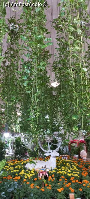 [P22] Dubai Butterfly Garden » foto by elenaadina
 - 
<span class="allrVoted glyphicon glyphicon-heart hidden" id="av1427698"></span>
<a class="m-l-10 hidden" id="sv1427698" onclick="voting_Foto_DelVot(,1427698,23380)" role="button">șterge vot <span class="glyphicon glyphicon-remove"></span></a>
<a id="v91427698" class=" c-red"  onclick="voting_Foto_SetVot(1427698)" role="button"><span class="glyphicon glyphicon-heart-empty"></span> <b>LIKE</b> = Votează poza</a> <img class="hidden"  id="f1427698W9" src="/imagini/loader.gif" border="0" /><span class="AjErrMes hidden" id="e1427698ErM"></span>