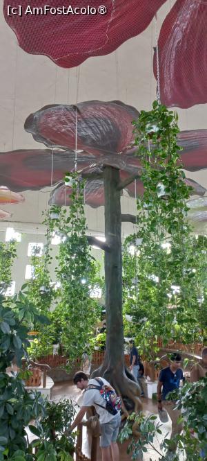 [P23] Dubai Butterfly Garden » foto by elenaadina
 - 
<span class="allrVoted glyphicon glyphicon-heart hidden" id="av1427699"></span>
<a class="m-l-10 hidden" id="sv1427699" onclick="voting_Foto_DelVot(,1427699,23380)" role="button">șterge vot <span class="glyphicon glyphicon-remove"></span></a>
<a id="v91427699" class=" c-red"  onclick="voting_Foto_SetVot(1427699)" role="button"><span class="glyphicon glyphicon-heart-empty"></span> <b>LIKE</b> = Votează poza</a> <img class="hidden"  id="f1427699W9" src="/imagini/loader.gif" border="0" /><span class="AjErrMes hidden" id="e1427699ErM"></span>