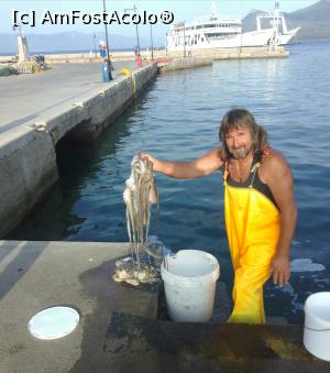 [P06] Edipsos in port » foto by lilianaooo
 - 
<span class="allrVoted glyphicon glyphicon-heart hidden" id="av977901"></span>
<a class="m-l-10 hidden" id="sv977901" onclick="voting_Foto_DelVot(,977901,23410)" role="button">șterge vot <span class="glyphicon glyphicon-remove"></span></a>
<a id="v9977901" class=" c-red"  onclick="voting_Foto_SetVot(977901)" role="button"><span class="glyphicon glyphicon-heart-empty"></span> <b>LIKE</b> = Votează poza</a> <img class="hidden"  id="f977901W9" src="/imagini/loader.gif" border="0" /><span class="AjErrMes hidden" id="e977901ErM"></span>