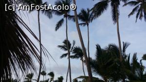 [P17] Un vis împlinit - Republica Dominicană - la umbra cocotierilor » foto by nicole33
 - 
<span class="allrVoted glyphicon glyphicon-heart hidden" id="av1048159"></span>
<a class="m-l-10 hidden" id="sv1048159" onclick="voting_Foto_DelVot(,1048159,23455)" role="button">șterge vot <span class="glyphicon glyphicon-remove"></span></a>
<a id="v91048159" class=" c-red"  onclick="voting_Foto_SetVot(1048159)" role="button"><span class="glyphicon glyphicon-heart-empty"></span> <b>LIKE</b> = Votează poza</a> <img class="hidden"  id="f1048159W9" src="/imagini/loader.gif" border="0" /><span class="AjErrMes hidden" id="e1048159ErM"></span>
