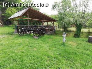 [P14] Corbii de piatra » foto by ⭐ValentinB_88⭐
 - 
<span class="allrVoted glyphicon glyphicon-heart hidden" id="av1327991"></span>
<a class="m-l-10 hidden" id="sv1327991" onclick="voting_Foto_DelVot(,1327991,23474)" role="button">șterge vot <span class="glyphicon glyphicon-remove"></span></a>
<a id="v91327991" class=" c-red"  onclick="voting_Foto_SetVot(1327991)" role="button"><span class="glyphicon glyphicon-heart-empty"></span> <b>LIKE</b> = Votează poza</a> <img class="hidden"  id="f1327991W9" src="/imagini/loader.gif" border="0" /><span class="AjErrMes hidden" id="e1327991ErM"></span>