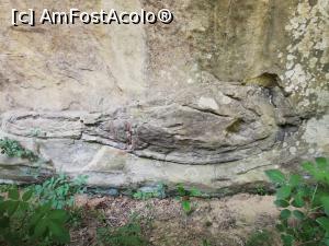 [P24] Corbii de piatra - vedere de sus » foto by ⭐ValentinB_88⭐
 - 
<span class="allrVoted glyphicon glyphicon-heart hidden" id="av1328001"></span>
<a class="m-l-10 hidden" id="sv1328001" onclick="voting_Foto_DelVot(,1328001,23474)" role="button">șterge vot <span class="glyphicon glyphicon-remove"></span></a>
<a id="v91328001" class=" c-red"  onclick="voting_Foto_SetVot(1328001)" role="button"><span class="glyphicon glyphicon-heart-empty"></span> <b>LIKE</b> = Votează poza</a> <img class="hidden"  id="f1328001W9" src="/imagini/loader.gif" border="0" /><span class="AjErrMes hidden" id="e1328001ErM"></span>