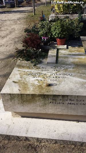 [P08] Aici odihneste Eugen Ionesco...  » foto by iulian68
 - 
<span class="allrVoted glyphicon glyphicon-heart hidden" id="av607395"></span>
<a class="m-l-10 hidden" id="sv607395" onclick="voting_Foto_DelVot(,607395,23478)" role="button">șterge vot <span class="glyphicon glyphicon-remove"></span></a>
<a id="v9607395" class=" c-red"  onclick="voting_Foto_SetVot(607395)" role="button"><span class="glyphicon glyphicon-heart-empty"></span> <b>LIKE</b> = Votează poza</a> <img class="hidden"  id="f607395W9" src="/imagini/loader.gif" border="0" /><span class="AjErrMes hidden" id="e607395ErM"></span>