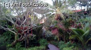 [P05] Aleea catre plaja » foto by virginia61
 - 
<span class="allrVoted glyphicon glyphicon-heart hidden" id="av948813"></span>
<a class="m-l-10 hidden" id="sv948813" onclick="voting_Foto_DelVot(,948813,23510)" role="button">șterge vot <span class="glyphicon glyphicon-remove"></span></a>
<a id="v9948813" class=" c-red"  onclick="voting_Foto_SetVot(948813)" role="button"><span class="glyphicon glyphicon-heart-empty"></span> <b>LIKE</b> = Votează poza</a> <img class="hidden"  id="f948813W9" src="/imagini/loader.gif" border="0" /><span class="AjErrMes hidden" id="e948813ErM"></span>