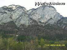 [P28]  -- <small>// FĂRĂ DESCRIERE</small> » foto by adryana
 - 
<span class="allrVoted glyphicon glyphicon-heart hidden" id="av318007"></span>
<a class="m-l-10 hidden" id="sv318007" onclick="voting_Foto_DelVot(,318007,23568)" role="button">șterge vot <span class="glyphicon glyphicon-remove"></span></a>
<a id="v9318007" class=" c-red"  onclick="voting_Foto_SetVot(318007)" role="button"><span class="glyphicon glyphicon-heart-empty"></span> <b>LIKE</b> = Votează poza</a> <img class="hidden"  id="f318007W9" src="/imagini/loader.gif" border="0" /><span class="AjErrMes hidden" id="e318007ErM"></span>