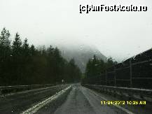 [P51]  -- <small>// FĂRĂ DESCRIERE</small> » foto by adryana
 - 
<span class="allrVoted glyphicon glyphicon-heart hidden" id="av318030"></span>
<a class="m-l-10 hidden" id="sv318030" onclick="voting_Foto_DelVot(,318030,23568)" role="button">șterge vot <span class="glyphicon glyphicon-remove"></span></a>
<a id="v9318030" class=" c-red"  onclick="voting_Foto_SetVot(318030)" role="button"><span class="glyphicon glyphicon-heart-empty"></span> <b>LIKE</b> = Votează poza</a> <img class="hidden"  id="f318030W9" src="/imagini/loader.gif" border="0" /><span class="AjErrMes hidden" id="e318030ErM"></span>