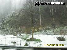 [P69] ninge puternic. » foto by adryana
 - 
<span class="allrVoted glyphicon glyphicon-heart hidden" id="av318051"></span>
<a class="m-l-10 hidden" id="sv318051" onclick="voting_Foto_DelVot(,318051,23568)" role="button">șterge vot <span class="glyphicon glyphicon-remove"></span></a>
<a id="v9318051" class=" c-red"  onclick="voting_Foto_SetVot(318051)" role="button"><span class="glyphicon glyphicon-heart-empty"></span> <b>LIKE</b> = Votează poza</a> <img class="hidden"  id="f318051W9" src="/imagini/loader.gif" border="0" /><span class="AjErrMes hidden" id="e318051ErM"></span>