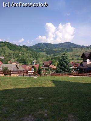 [P19]  -- <small>// FĂRĂ DESCRIERE</small> » foto by corinamaria
 - 
<span class="allrVoted glyphicon glyphicon-heart hidden" id="av976668"></span>
<a class="m-l-10 hidden" id="sv976668" onclick="voting_Foto_DelVot(,976668,23582)" role="button">șterge vot <span class="glyphicon glyphicon-remove"></span></a>
<a id="v9976668" class=" c-red"  onclick="voting_Foto_SetVot(976668)" role="button"><span class="glyphicon glyphicon-heart-empty"></span> <b>LIKE</b> = Votează poza</a> <img class="hidden"  id="f976668W9" src="/imagini/loader.gif" border="0" /><span class="AjErrMes hidden" id="e976668ErM"></span>