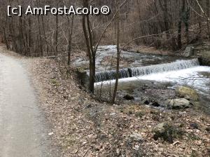 [P07] Am pornit pe drumul forestier spre Cascada Lotrisor - 40 minute - in amonte pe raul Lotrisor » foto by Dan&Ema
 - 
<span class="allrVoted glyphicon glyphicon-heart hidden" id="av955119"></span>
<a class="m-l-10 hidden" id="sv955119" onclick="voting_Foto_DelVot(,955119,23593)" role="button">șterge vot <span class="glyphicon glyphicon-remove"></span></a>
<a id="v9955119" class=" c-red"  onclick="voting_Foto_SetVot(955119)" role="button"><span class="glyphicon glyphicon-heart-empty"></span> <b>LIKE</b> = Votează poza</a> <img class="hidden"  id="f955119W9" src="/imagini/loader.gif" border="0" /><span class="AjErrMes hidden" id="e955119ErM"></span>