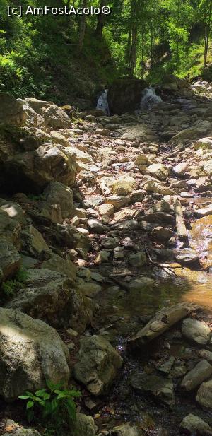 [P12] Drum salbatic catre cascada. » foto by VasiuM
 - 
<span class="allrVoted glyphicon glyphicon-heart hidden" id="av1167174"></span>
<a class="m-l-10 hidden" id="sv1167174" onclick="voting_Foto_DelVot(,1167174,23593)" role="button">șterge vot <span class="glyphicon glyphicon-remove"></span></a>
<a id="v91167174" class=" c-red"  onclick="voting_Foto_SetVot(1167174)" role="button"><span class="glyphicon glyphicon-heart-empty"></span> <b>LIKE</b> = Votează poza</a> <img class="hidden"  id="f1167174W9" src="/imagini/loader.gif" border="0" /><span class="AjErrMes hidden" id="e1167174ErM"></span>