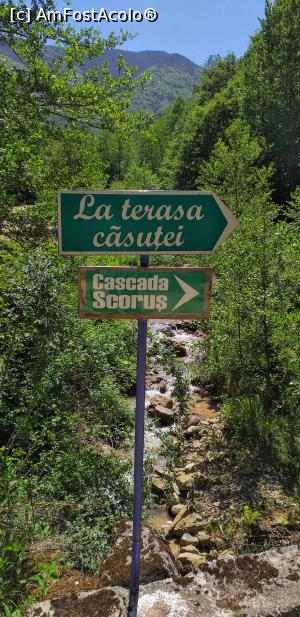 [P08] Indicator catre cascada. » foto by VasiuM
 - 
<span class="allrVoted glyphicon glyphicon-heart hidden" id="av1167170"></span>
<a class="m-l-10 hidden" id="sv1167170" onclick="voting_Foto_DelVot(,1167170,23593)" role="button">șterge vot <span class="glyphicon glyphicon-remove"></span></a>
<a id="v91167170" class=" c-red"  onclick="voting_Foto_SetVot(1167170)" role="button"><span class="glyphicon glyphicon-heart-empty"></span> <b>LIKE</b> = Votează poza</a> <img class="hidden"  id="f1167170W9" src="/imagini/loader.gif" border="0" /><span class="AjErrMes hidden" id="e1167170ErM"></span>