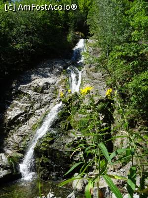 [P14] Cascada Lotrișor. » foto by tata123 🔱
 - 
<span class="allrVoted glyphicon glyphicon-heart hidden" id="av1252454"></span>
<a class="m-l-10 hidden" id="sv1252454" onclick="voting_Foto_DelVot(,1252454,23593)" role="button">șterge vot <span class="glyphicon glyphicon-remove"></span></a>
<a id="v91252454" class=" c-red"  onclick="voting_Foto_SetVot(1252454)" role="button"><span class="glyphicon glyphicon-heart-empty"></span> <b>LIKE</b> = Votează poza</a> <img class="hidden"  id="f1252454W9" src="/imagini/loader.gif" border="0" /><span class="AjErrMes hidden" id="e1252454ErM"></span>