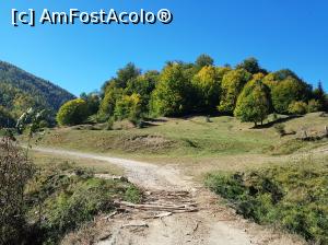 [P20] Acest pod deteriorat peste un afluent al Șupanului este un punct de reper important. Cascada nu mai este așa departe. Atunci când drumul intră în pădure, ar trebui să coborâți în stânga în albia pârâului și să urcați apoi pe firul apei vreo 25 de minute pentru a o găsi. » foto by Floryn81
 - 
<span class="allrVoted glyphicon glyphicon-heart hidden" id="av1018199"></span>
<a class="m-l-10 hidden" id="sv1018199" onclick="voting_Foto_DelVot(,1018199,23619)" role="button">șterge vot <span class="glyphicon glyphicon-remove"></span></a>
<a id="v91018199" class=" c-red"  onclick="voting_Foto_SetVot(1018199)" role="button"><span class="glyphicon glyphicon-heart-empty"></span> <b>LIKE</b> = Votează poza</a> <img class="hidden"  id="f1018199W9" src="/imagini/loader.gif" border="0" /><span class="AjErrMes hidden" id="e1018199ErM"></span>