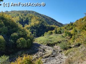 [P21] Valea Șupanului iese din pădure. Pe acolo trebuie intrat (prin albia pârâului) pentru a găsi cascada.  » foto by Floryn81
 - 
<span class="allrVoted glyphicon glyphicon-heart hidden" id="av1018200"></span>
<a class="m-l-10 hidden" id="sv1018200" onclick="voting_Foto_DelVot(,1018200,23619)" role="button">șterge vot <span class="glyphicon glyphicon-remove"></span></a>
<a id="v91018200" class=" c-red"  onclick="voting_Foto_SetVot(1018200)" role="button"><span class="glyphicon glyphicon-heart-empty"></span> <b>LIKE</b> = Votează poza</a> <img class="hidden"  id="f1018200W9" src="/imagini/loader.gif" border="0" /><span class="AjErrMes hidden" id="e1018200ErM"></span>