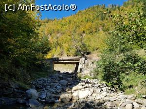 [P22] Noi am mai avansat prin pădure pe drumul forestier, am ajuns la un alt pod (al cincilea) și pe acolo am coborât pe firul apei. În 5 minute am ajuns în partea de sus a Cascadei Șupanu.  » foto by Floryn81
 - 
<span class="allrVoted glyphicon glyphicon-heart hidden" id="av1018201"></span>
<a class="m-l-10 hidden" id="sv1018201" onclick="voting_Foto_DelVot(,1018201,23619)" role="button">șterge vot <span class="glyphicon glyphicon-remove"></span></a>
<a id="v91018201" class=" c-red"  onclick="voting_Foto_SetVot(1018201)" role="button"><span class="glyphicon glyphicon-heart-empty"></span> <b>LIKE</b> = Votează poza</a> <img class="hidden"  id="f1018201W9" src="/imagini/loader.gif" border="0" /><span class="AjErrMes hidden" id="e1018201ErM"></span>