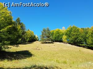 [P28] Ne-am odihnit pentru câteva minute și am ciugulit câte ceva din rucsac. Parcă nu ne mai venea să plecăm, atât de frumos era acolo!  » foto by Floryn81
 - 
<span class="allrVoted glyphicon glyphicon-heart hidden" id="av1018207"></span>
<a class="m-l-10 hidden" id="sv1018207" onclick="voting_Foto_DelVot(,1018207,23619)" role="button">șterge vot <span class="glyphicon glyphicon-remove"></span></a>
<a id="v91018207" class=" c-red"  onclick="voting_Foto_SetVot(1018207)" role="button"><span class="glyphicon glyphicon-heart-empty"></span> <b>LIKE</b> = Votează poza</a> <img class="hidden"  id="f1018207W9" src="/imagini/loader.gif" border="0" /><span class="AjErrMes hidden" id="e1018207ErM"></span>