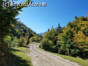 [P32] La pas pe drumul forestier de pe Valea Șupanului. Era momentul să ne întoarcem. Sau încă nu?!  » foto by Floryn81
 - 
<span class="allrVoted glyphicon glyphicon-heart hidden" id="av1018211"></span>
<a class="m-l-10 hidden" id="sv1018211" onclick="voting_Foto_DelVot(,1018211,23619)" role="button">șterge vot <span class="glyphicon glyphicon-remove"></span></a>
<a id="v91018211" class=" c-red"  onclick="voting_Foto_SetVot(1018211)" role="button"><span class="glyphicon glyphicon-heart-empty"></span> <b>LIKE</b> = Votează poza</a> <img class="hidden"  id="f1018211W9" src="/imagini/loader.gif" border="0" /><span class="AjErrMes hidden" id="e1018211ErM"></span>