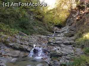 [P35] La pas prin albia pârâului Șupanu, către cascada cu același nume.  » foto by Floryn81
 - 
<span class="allrVoted glyphicon glyphicon-heart hidden" id="av1018214"></span>
<a class="m-l-10 hidden" id="sv1018214" onclick="voting_Foto_DelVot(,1018214,23619)" role="button">șterge vot <span class="glyphicon glyphicon-remove"></span></a>
<a id="v91018214" class=" c-red"  onclick="voting_Foto_SetVot(1018214)" role="button"><span class="glyphicon glyphicon-heart-empty"></span> <b>LIKE</b> = Votează poza</a> <img class="hidden"  id="f1018214W9" src="/imagini/loader.gif" border="0" /><span class="AjErrMes hidden" id="e1018214ErM"></span>