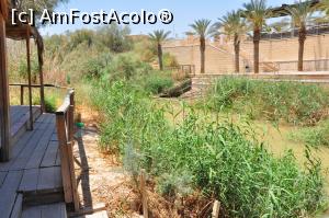 [P22] trestii si alte chestii cu vedere spre partea israeliana » foto by alunelu69
 - 
<span class="allrVoted glyphicon glyphicon-heart hidden" id="av958207"></span>
<a class="m-l-10 hidden" id="sv958207" onclick="voting_Foto_DelVot(,958207,23631)" role="button">șterge vot <span class="glyphicon glyphicon-remove"></span></a>
<a id="v9958207" class=" c-red"  onclick="voting_Foto_SetVot(958207)" role="button"><span class="glyphicon glyphicon-heart-empty"></span> <b>LIKE</b> = Votează poza</a> <img class="hidden"  id="f958207W9" src="/imagini/loader.gif" border="0" /><span class="AjErrMes hidden" id="e958207ErM"></span>